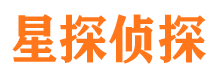 墉桥侦探公司